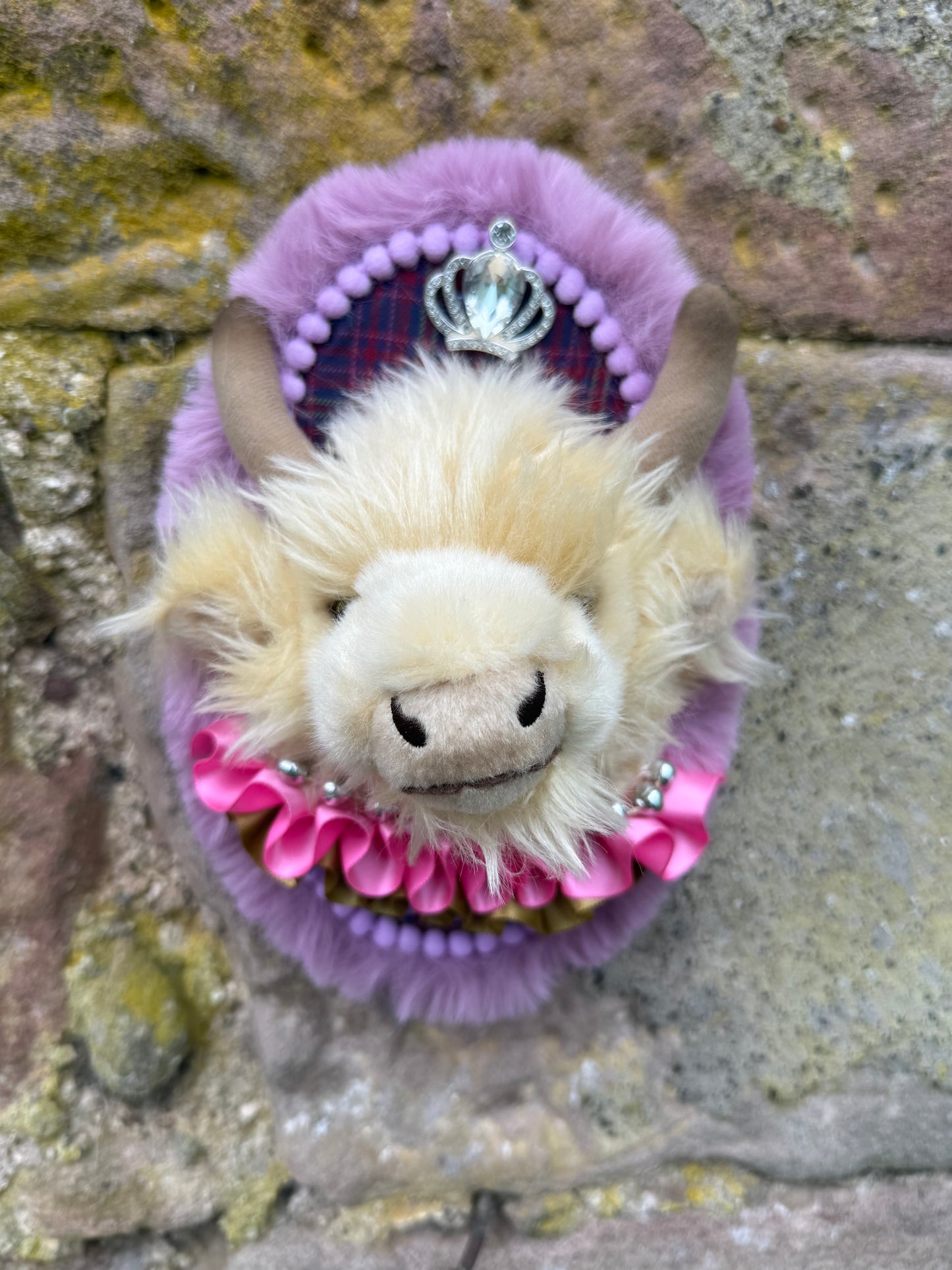 Toydermy- oval plaque